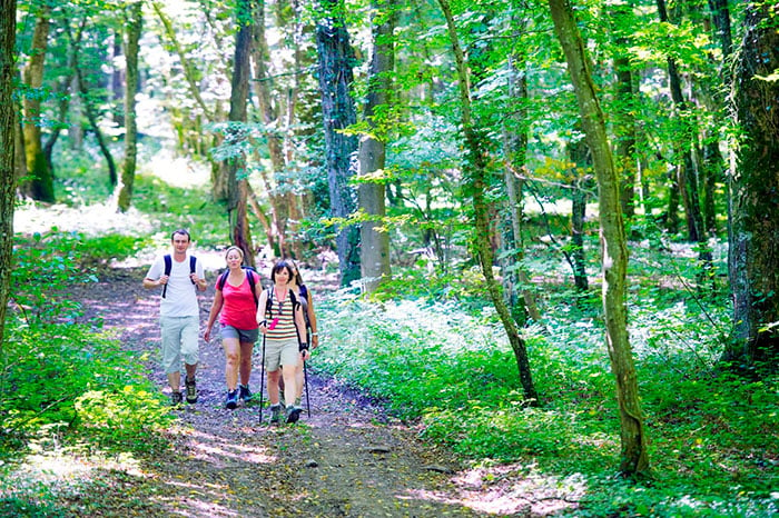 Wandelen Meuse chambres d'hôtes