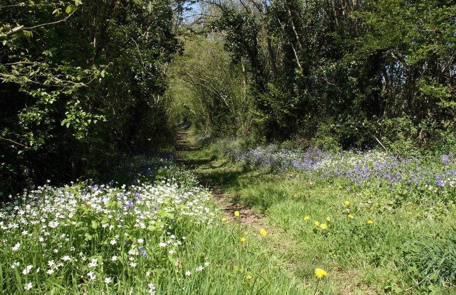 wandelen fietsen frankrijk arrangement