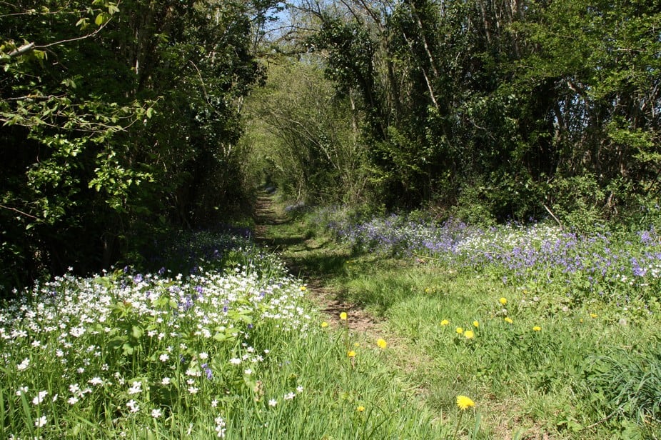 wandelen fietsen frankrijk arrangement