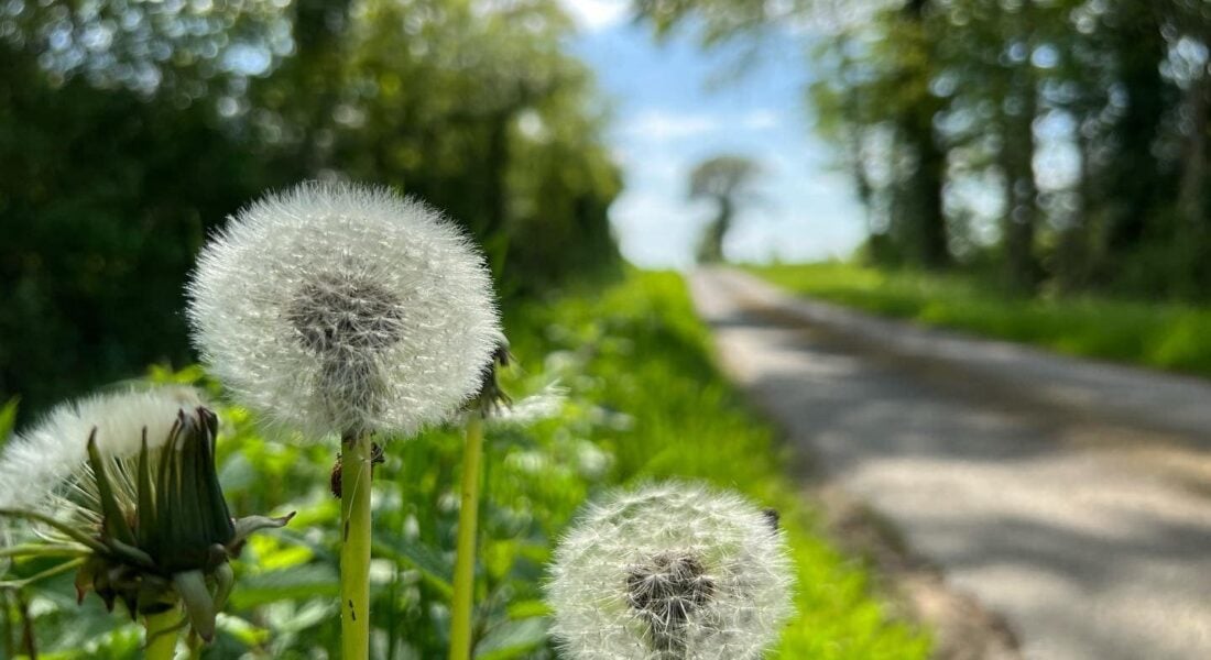 Wandelvakantie Frankrijk Creuse Veï Lou Quéri