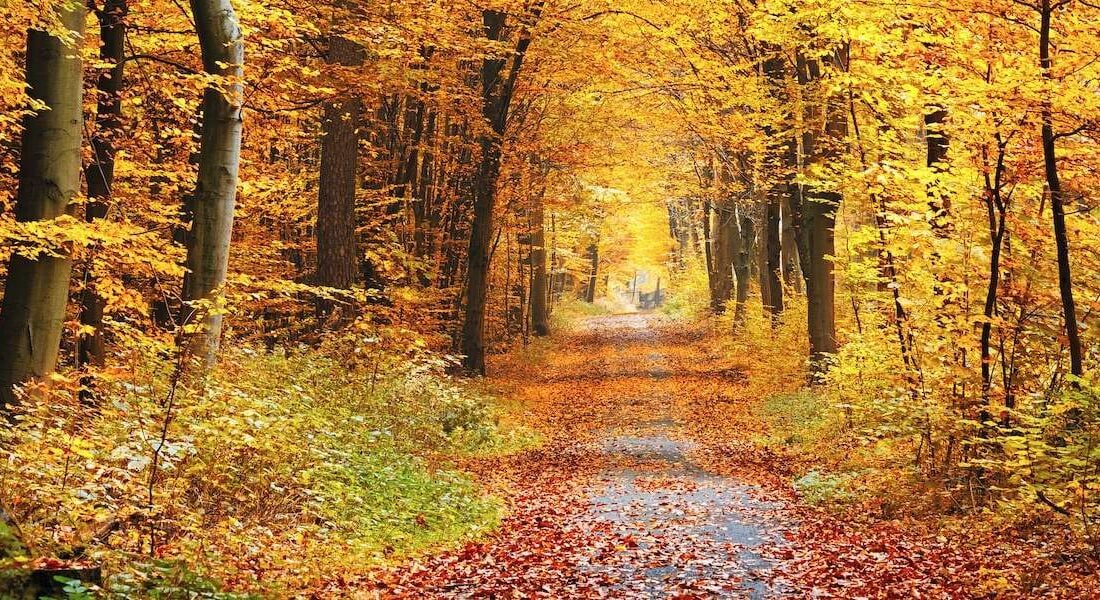 herfst noord-frankrijk chambres d'hôtes