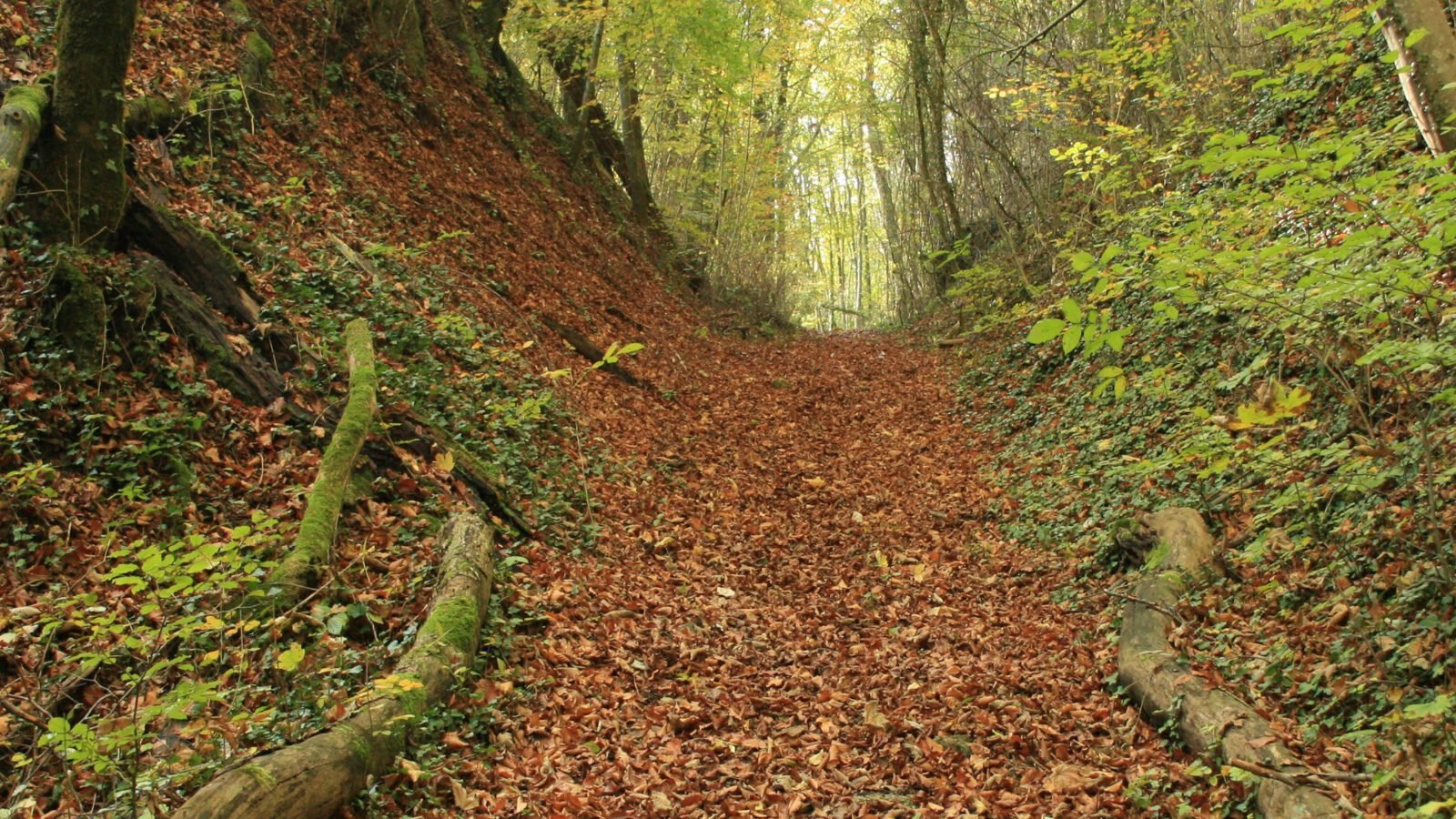 Wandelen noord frankrijk