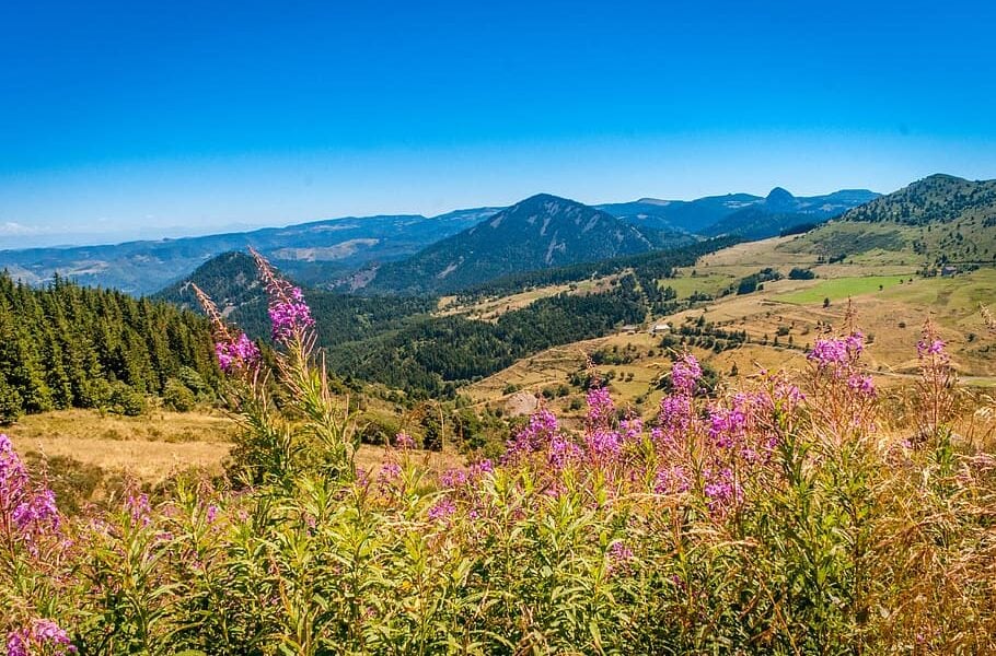 Gîtes in de Auvergne