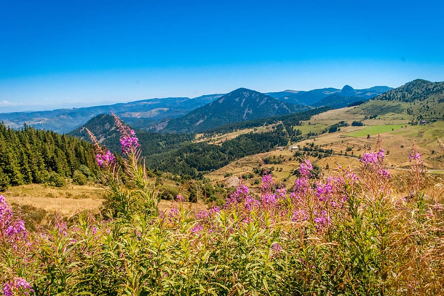 Gîtes in de Auvergne