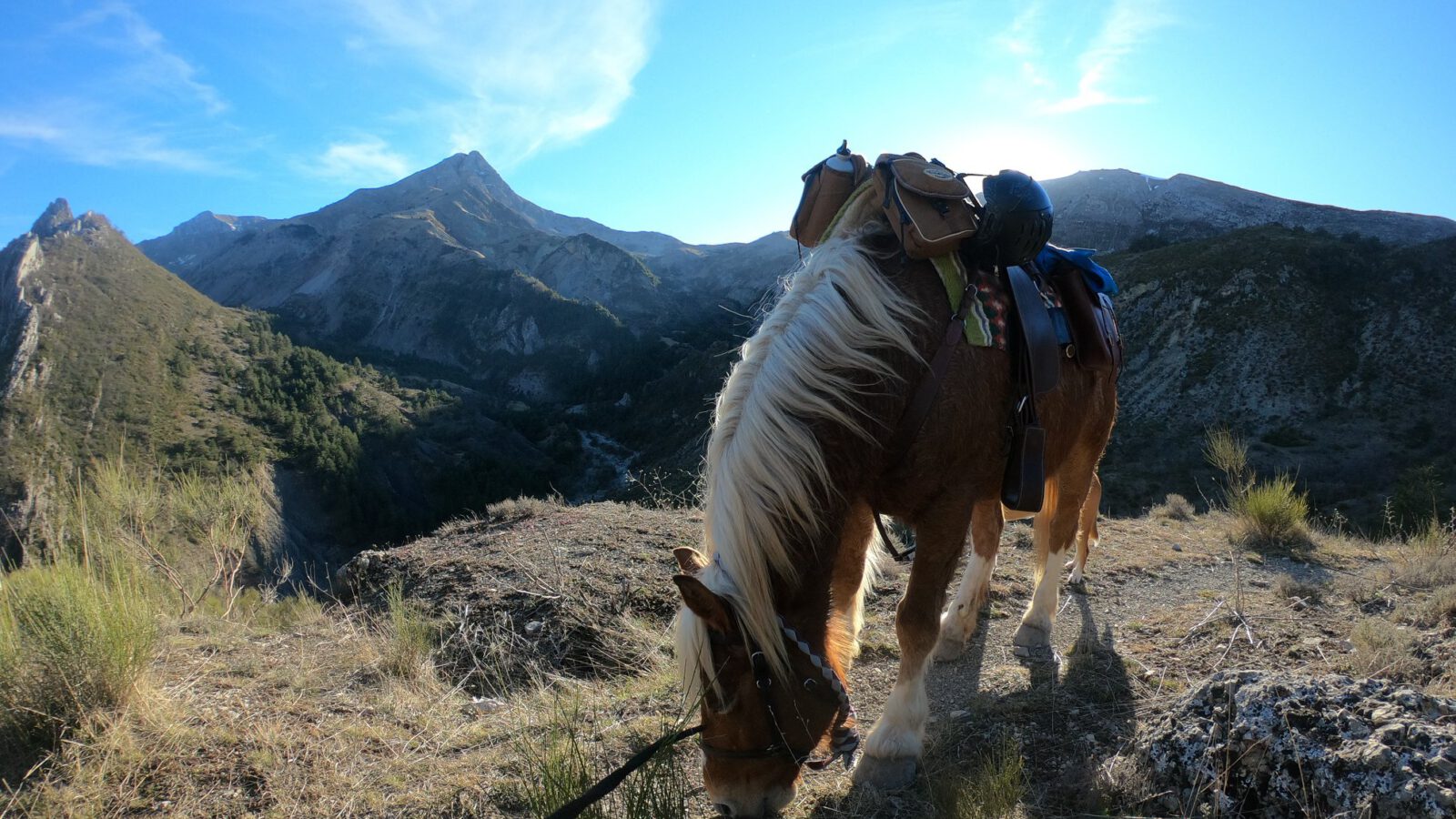 Paardrijden Alpes de Haute Provence