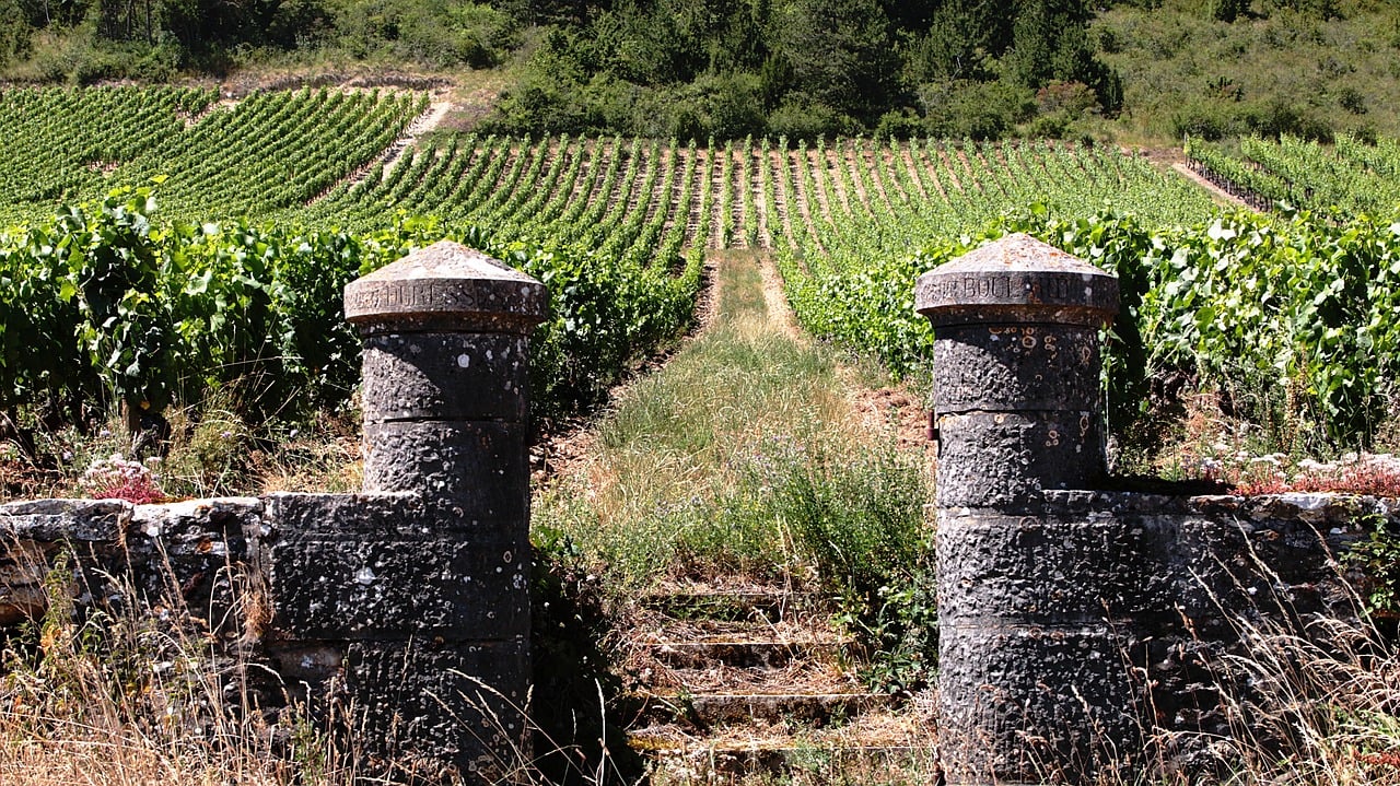 Gîtes in Bourgogne