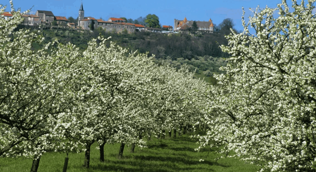 Wandelen Frankrijk Meuse Le Ciel Bleu