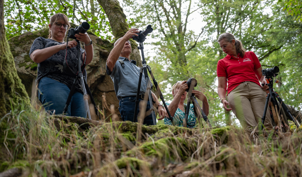 Workshop fotografie Vogezen