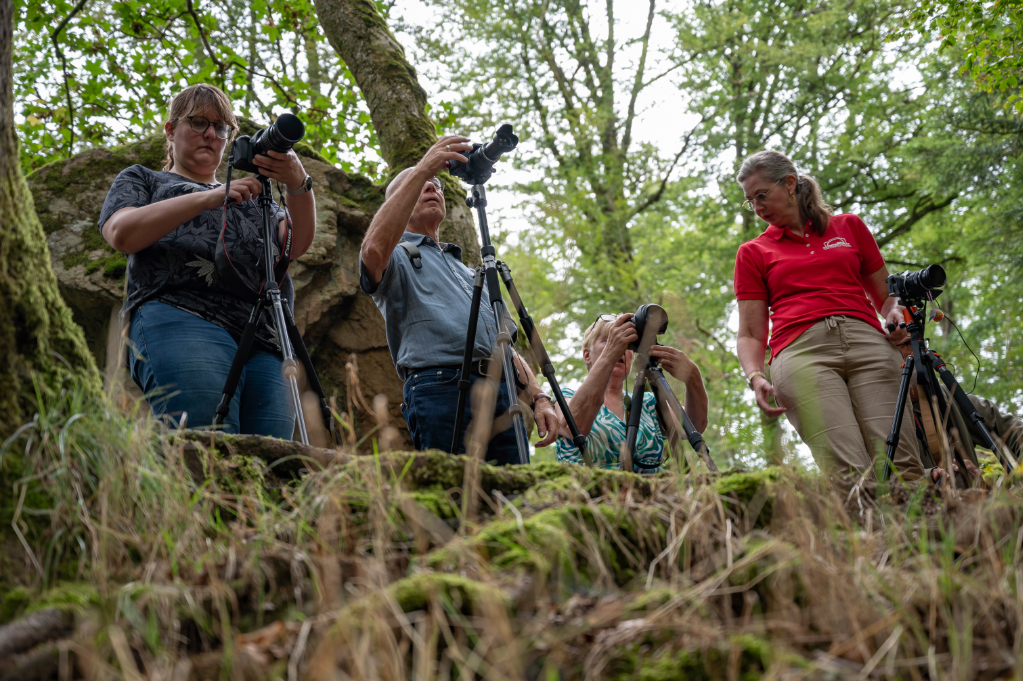 Workshop fotografie Vogezen