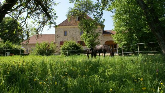 Chambres d'hôtes Haute-Marne tussenstop