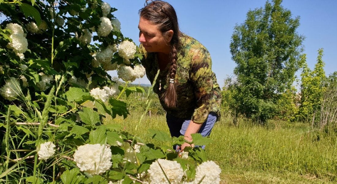 bloesemremedie cursus Frankrijk